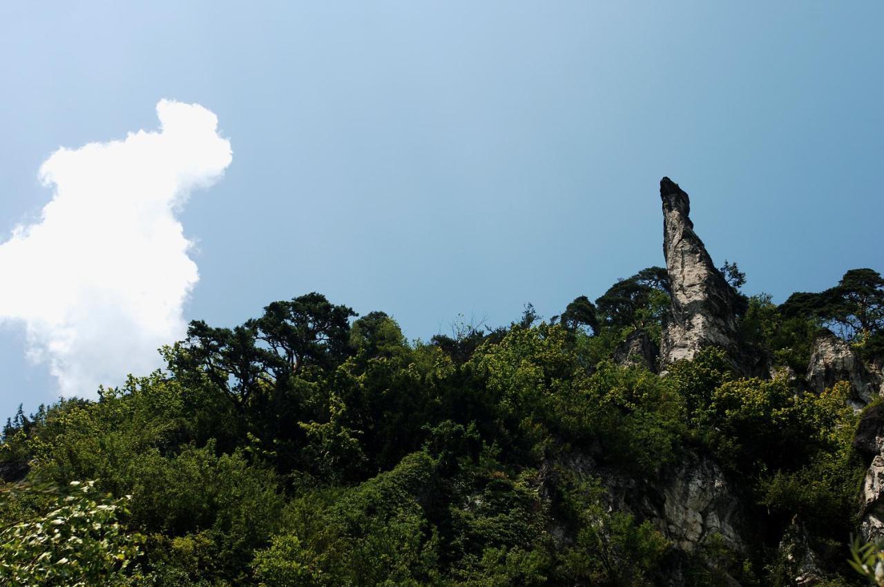 Gasthof Bad Sonnenberg Nüziders エクステリア 写真